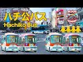【のりもの】ハチ公バス
