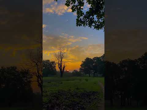 Fakira Lyrical Travelling Shortsfeed Nature Travelphotography Morningvibes Morning Views