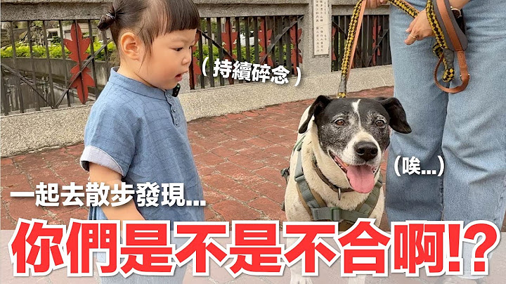 【好味小姐】你們是不是不合啊！？一起去散步發現...｜好味貓日常251