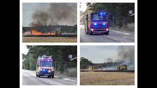 ***Make Pumps 14*** Field Fire- Suffolk Fire & Rescue Service 25th July 2026