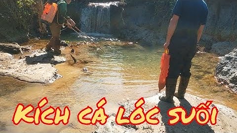 Kích cá lóc suối