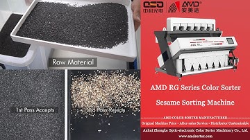AMD Sortex(RG6) Sesame Seeds Color Sorter Machine Price for Black Sesamum Sorting
