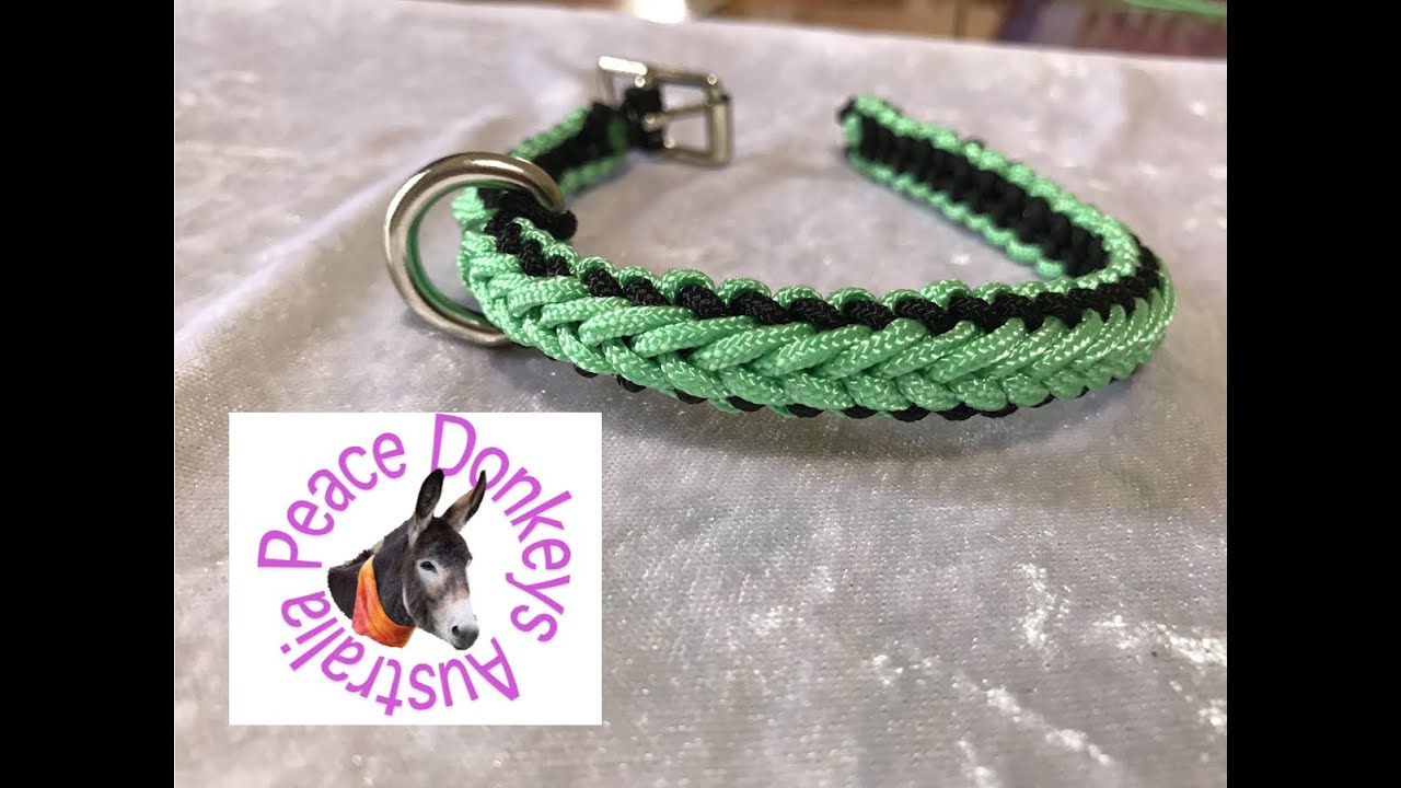 How to make a small dog collar with micro paracord - fully adjustable  (herringbone pattern). 