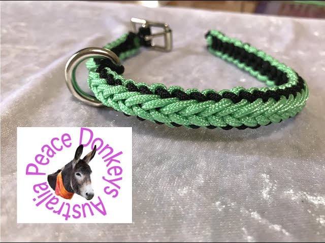 How to make a small dog collar with micro paracord - fully