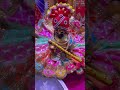 बेईमानी बिलकुल भी नहीं"#premanandjipravachan 🙏🏻#trueline 💯👌🏻#viral #ytshortsvideo