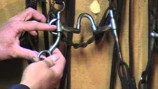 Quick Tip: Which Bits to use on young horses