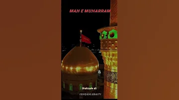 Fatima Zehra Ka Bhara Ghar Luta Cut Gaya Shabbir Ka Sukha Gala 