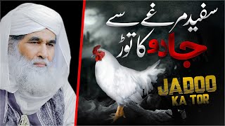 Safed Murga Palne Ke Fayde | White Rooster in Islam | Jadoo Ka Tor | Maulana Ilyas Qadri Bayan