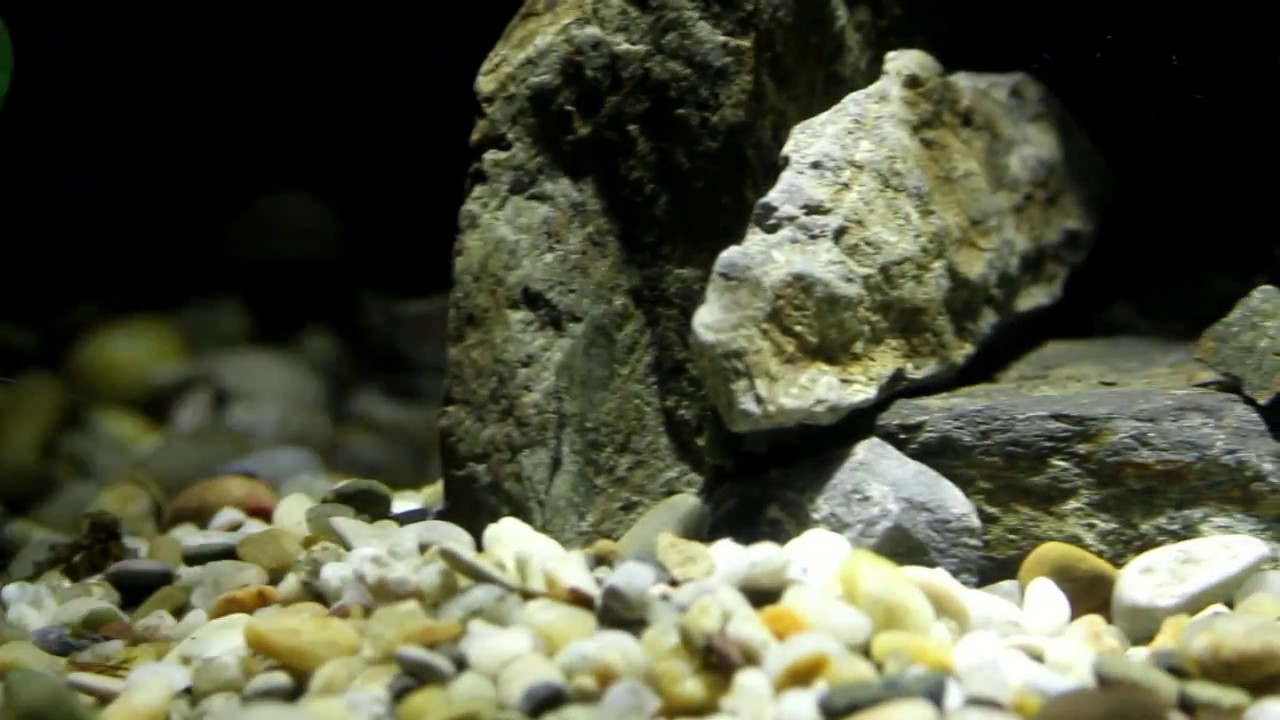 Paludarium build výroba / paludarium.sk