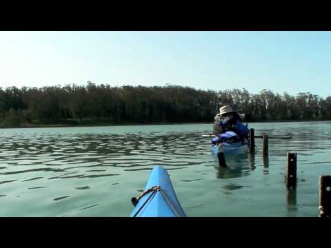 Vidéo: Elkhorn Slough Nature Tour, baie de Monterey