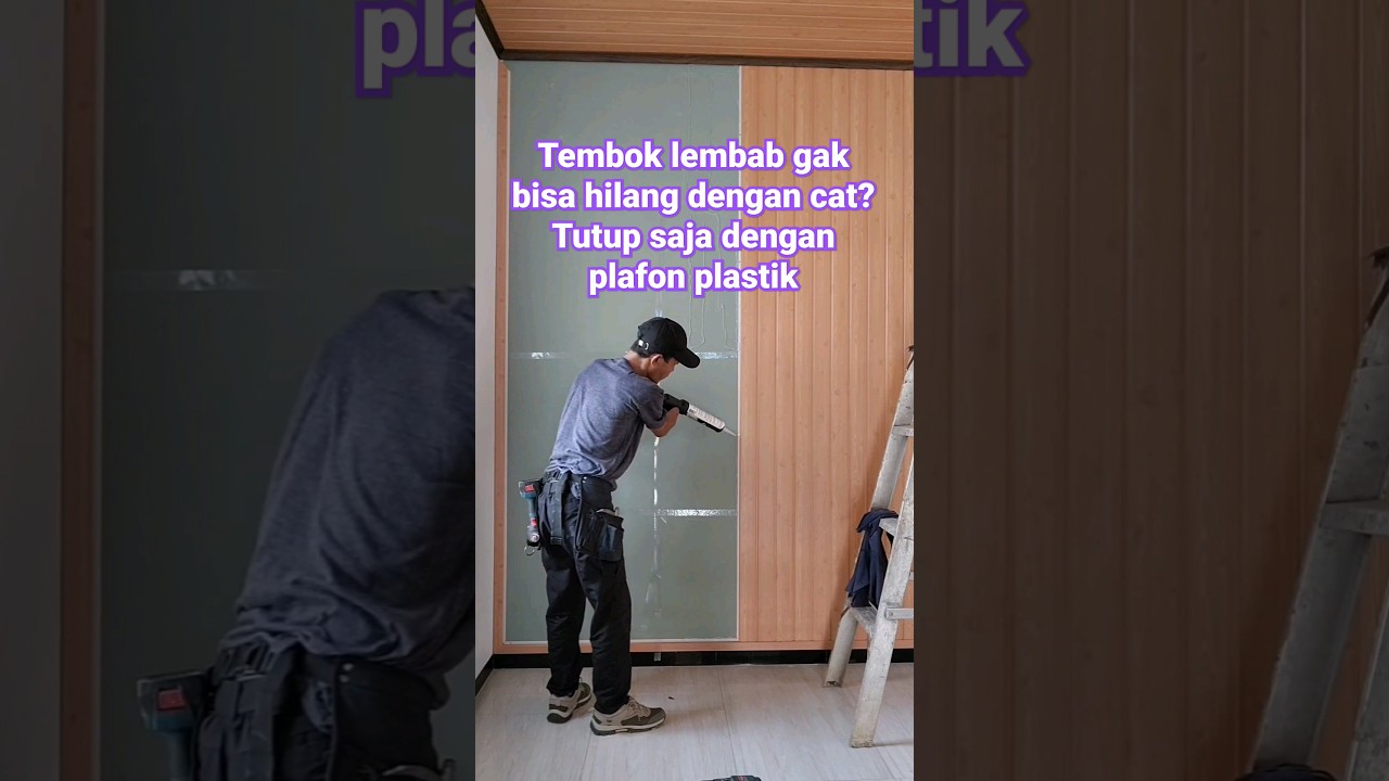 решения для влажных стен #советы #вдохновение #образование #уход на дому #навыки