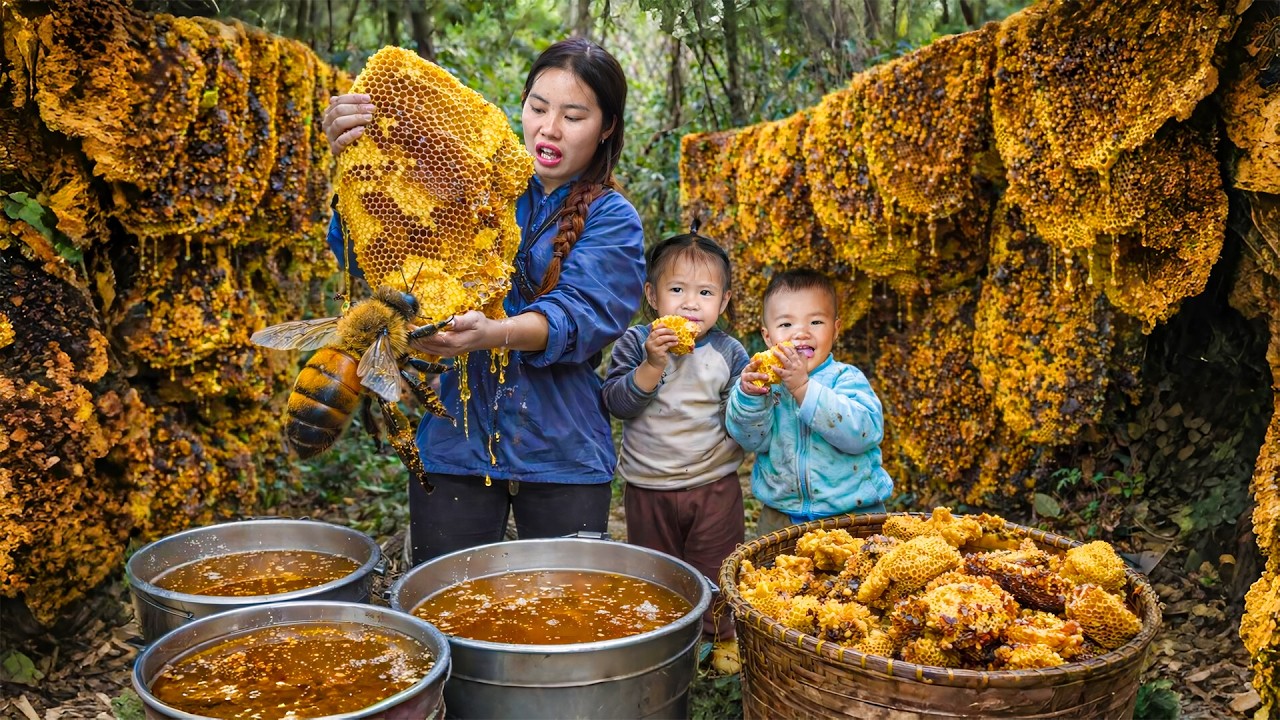 Harvesting Potatoes for the Market | Finding Wild Honey for My Son and Daughter