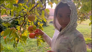 Barini Biterang Minaha -  Apples and Grapes from My Garden