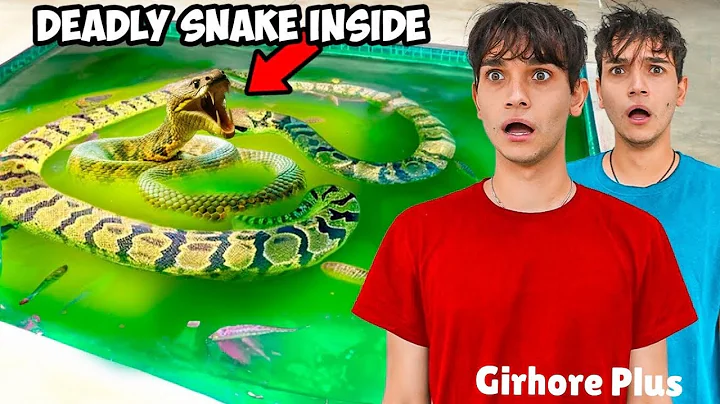 Dobre Brothers | We Caught the Deadly Snake Attacking Our Fish | @LucasandMarcus