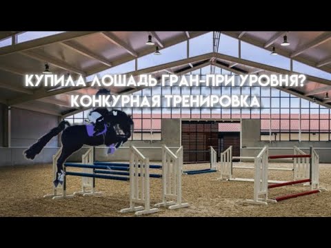 Видео: Покупка конкурной лошади гран-при уровня?😱Конкурная тренировка / vlog maple springs eventing Roblox