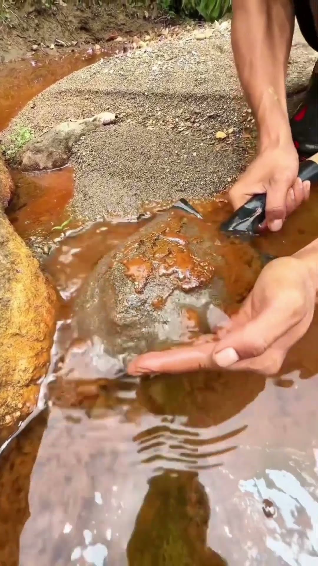 gold found in this brown water #shortsvideo