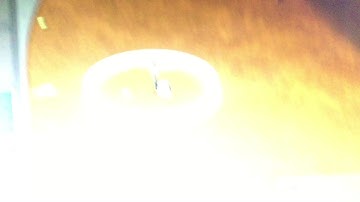 How to make an epic creature in spore galactic adventures