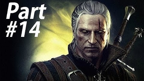 The Witcher 2 Assassin