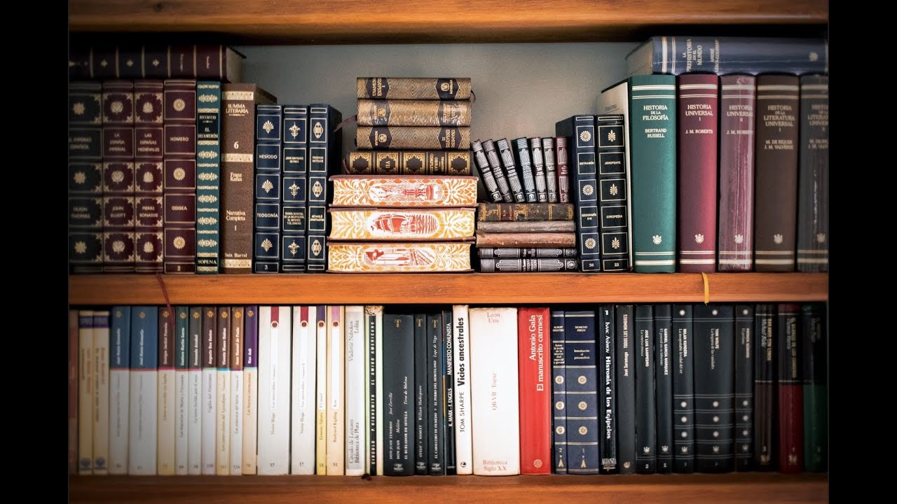 BOOKSHELF WALLPAPER | 10 HOURS | LIBRARY