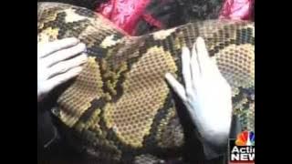Largest snake living in captivity Medusa sets world record