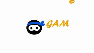 Game Ninja Animated Logo