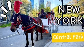 New York City Central Park April Spring walking video 4K