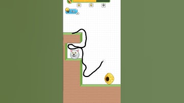 Dog Rescue Game Level 36 Walkthrough