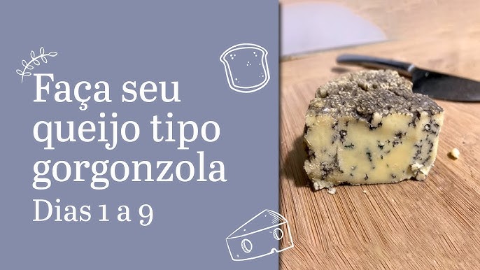 Queijo Gorgonzola Dolce Fatiado - Serra das Antas – Roça Capital