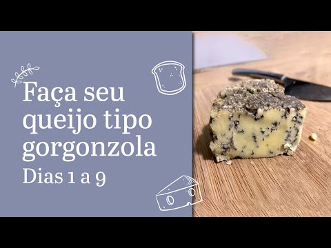 Vídeo: O queijo com veios azuis é bom para você?