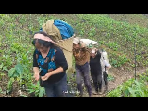 Hnuhpui kan tan ta e