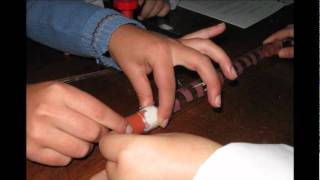 Diffusion.wmv