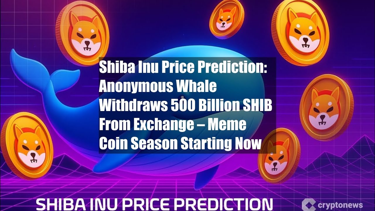 Shiba Inu Price Prediction: Anonymous Whale Withdraws 500 Billion - YouTube