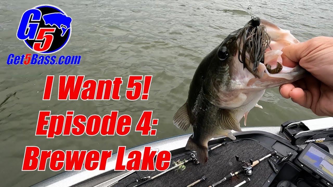 Brewer Lake Bass Fishing – I Want 5! Episode 4 #arkansasbassfishing #brewerlake #Iwant5!
