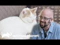 【猫の心理学】殺し合うほどの喧嘩...猫同士はどうすれば平和になる？ | S6 Ep.10 | My Cat From Hell【猫ヘルパー】