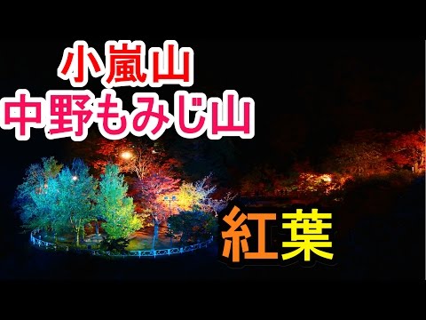【中野もみじ山】小嵐山 紅葉を見て来た【青森県黒石市】