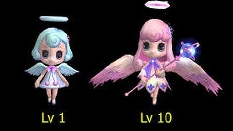 Cabal Na Guide: How to train Cabal Pet (Don