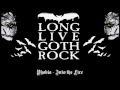 Gothic Rock Mix Vol. VI