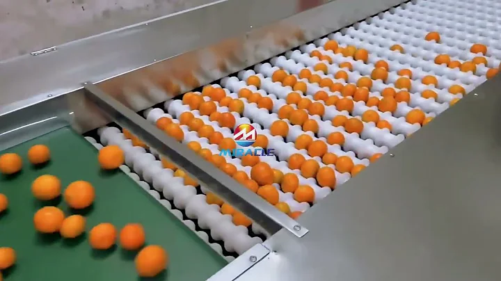 Automatic Citrus Fruit Sorting Machine, Mandarin Orange Grader, Tangerine Sorting Machine for Farm