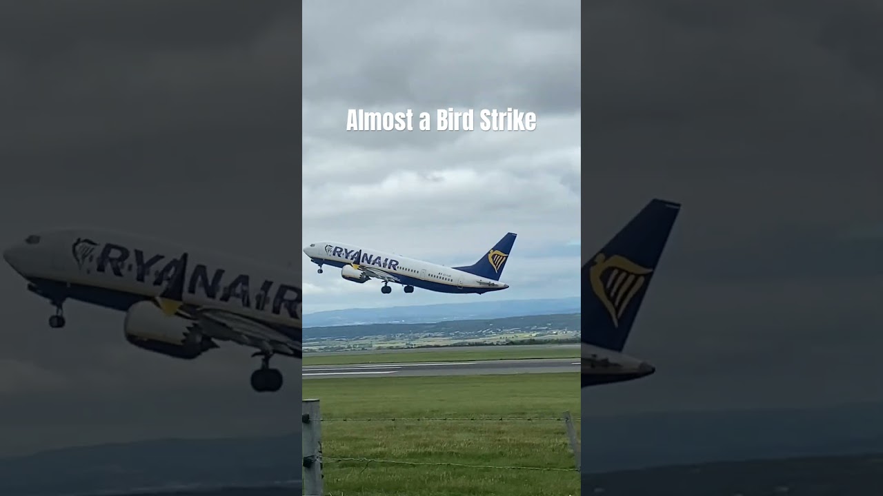 Ryanair Boeing 737 departing Bristol airport almost an bird strike