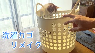 壊れた洗濯カゴが捨てられなくてリメイクしてみた♪