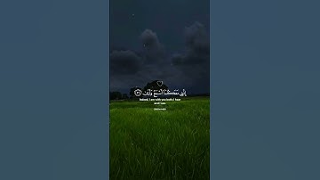 ﴿قَالَ لَا تَخَافَا ۖ إِنَّنِي مَعَكُمَا أَسْمَعُ وَأَرَىٰ﴾ | تلاوة تريح القلب #قرآن #محمد_ديبيروف