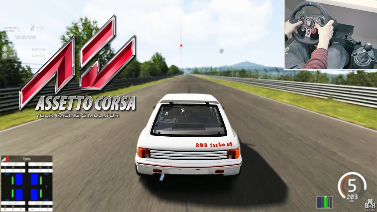 PEUGEOT 205 T16 - Nürburgring Nordschleife || Logitech G29 + Shifter