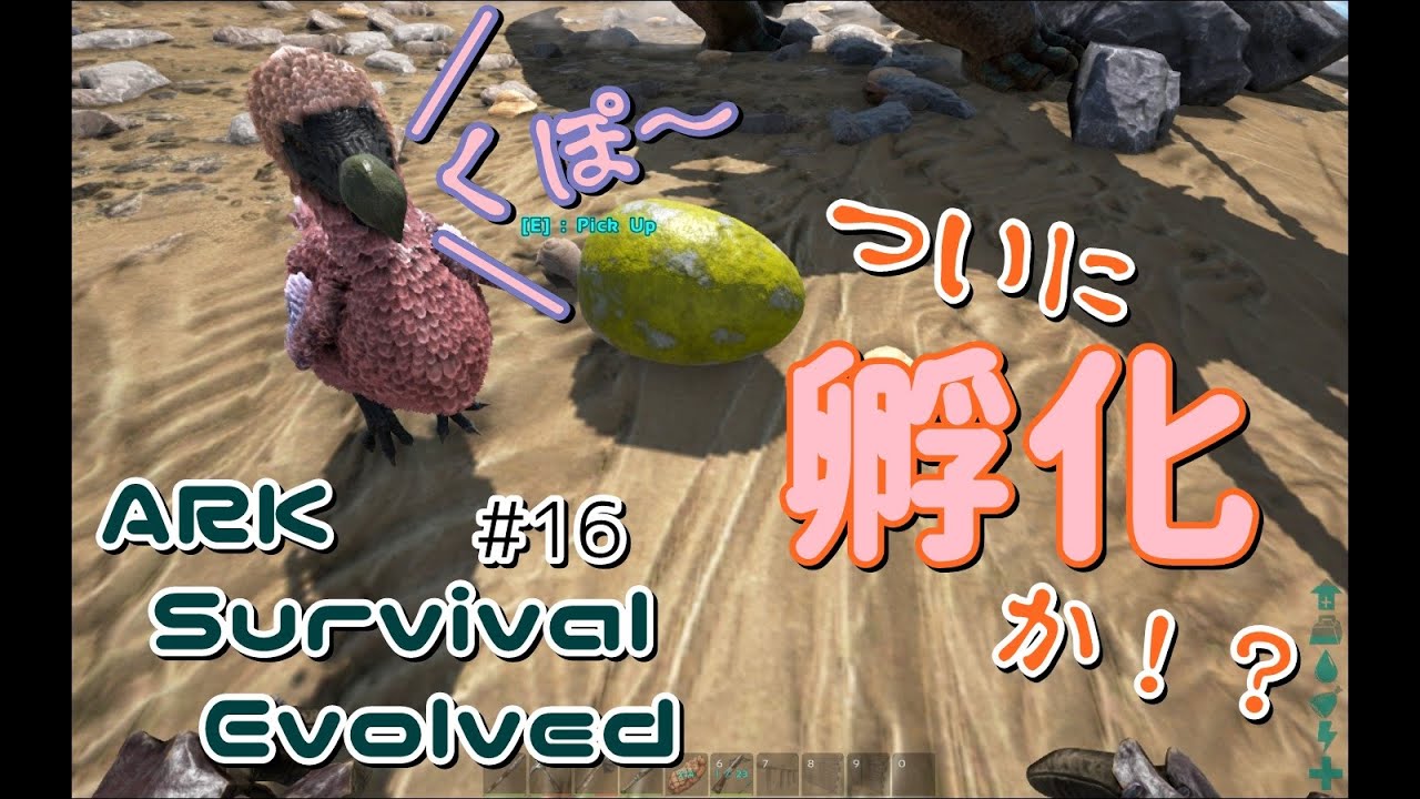 Ark Survival Evolved 16 タマゴ孵化するか Youtube
