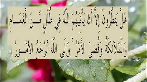 القران الكريم سورة البقرة الاية 210