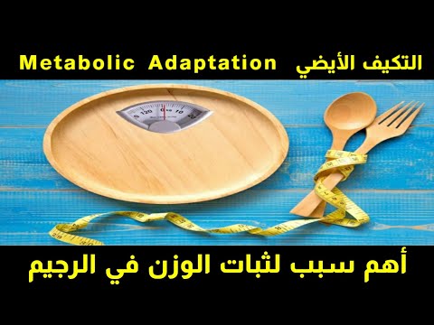 ٤٢٦) التكيف الايضي | Metabolic Adaptation | ثبات الوزن