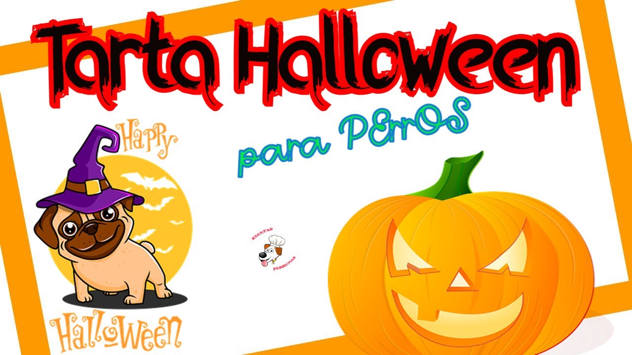 👻🎃 TARTA HALLOWEEN para PERROS!!!