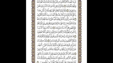 الوجه 131 من القرآن مكرر ١٠ مرات مع الآيات | سورة الأنعام | الشيخ خليفة الطنيجي