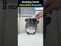 Cutest Chinchillas #shorts