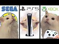 Cat meow but game console startups