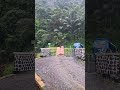 Chasing the Bus in Heavy Rain with a Blanket! 🌧️🚌 #Shorts